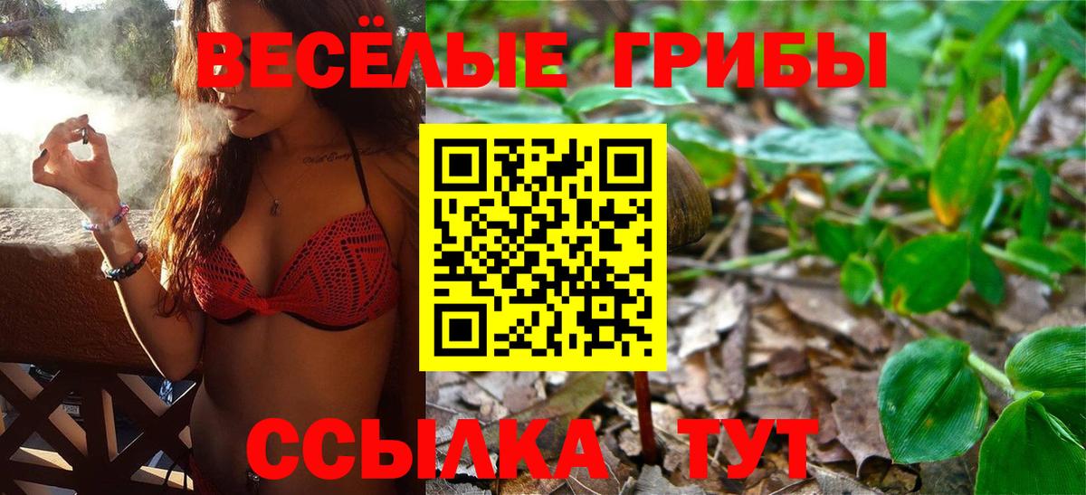 Коммунар  Псилоцибиновые грибы MAGIC MUSHROOMS  Вход с VPN 