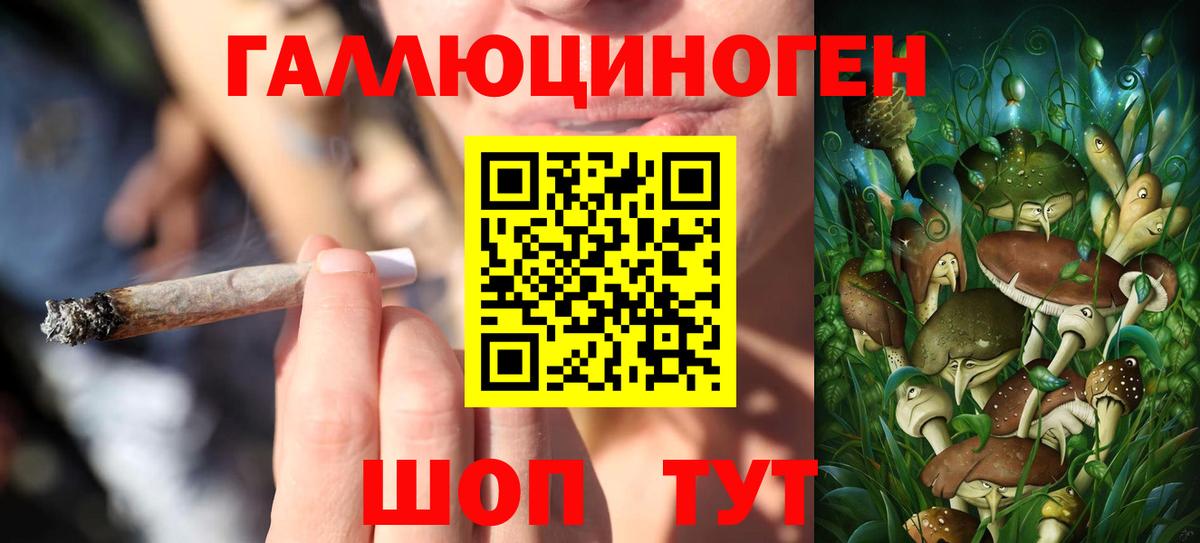 Псилоцибиновые грибы GOLDEN TEACHER Коммунар